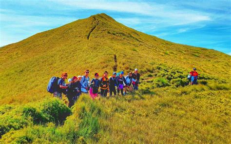 Mt. Pulag National Park .